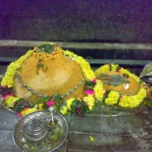Srikurmam Temple
