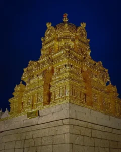 Vakula Matha Temple Timings