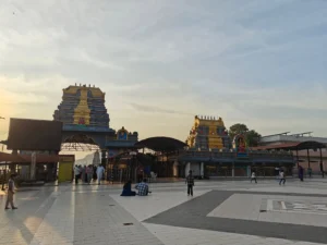 Bhadrakali Temple Timings